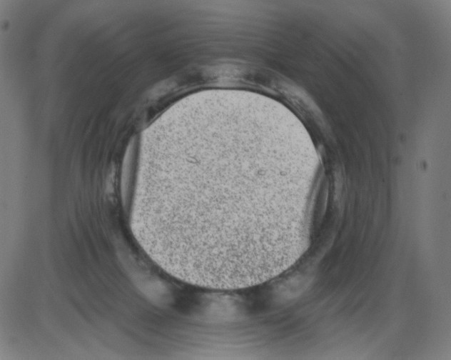 X0000084040073200703161842