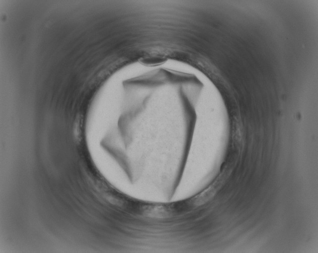 X0000084040074200703161842