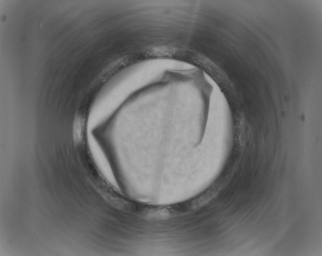 X0000084040075200703161842