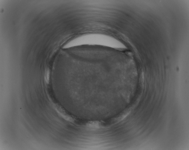 X0000084040076200703161842