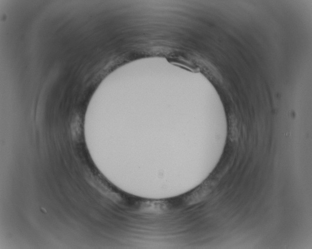 X0000084040077200703161842