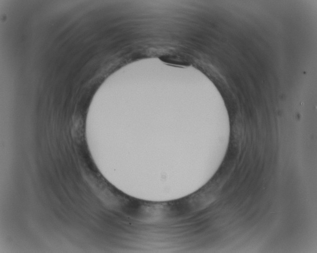 X0000084040079200703161842