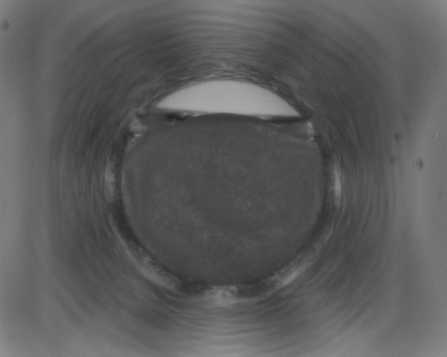 X0000084040080200703161842