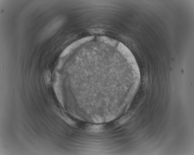 X0000084040081200703161842