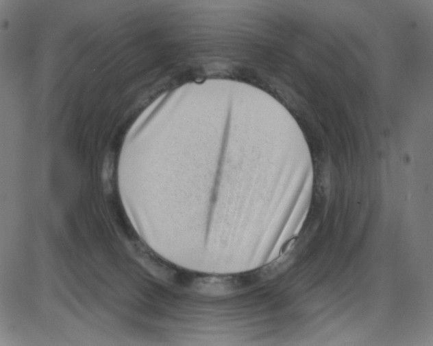 X0000084040082200703161842