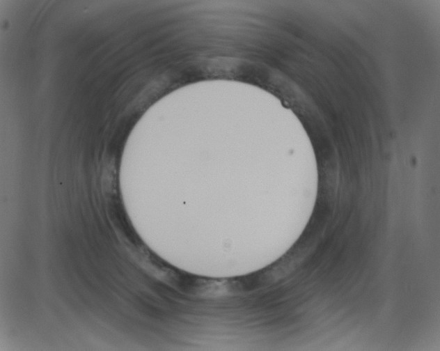 X0000084040083200703161842