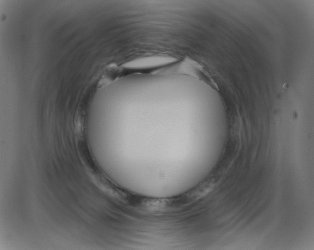 X0000084040084200703161842