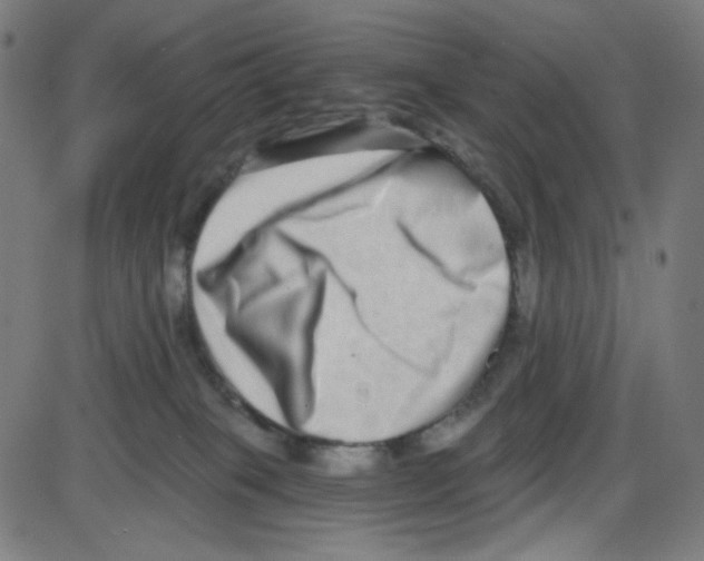 X0000084040085200703161842