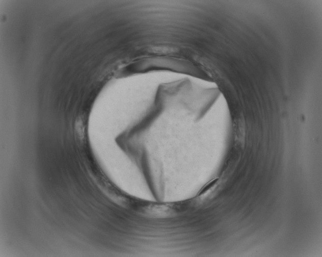 X0000084040086200703161842