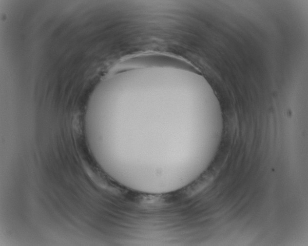 X0000084040088200703161842