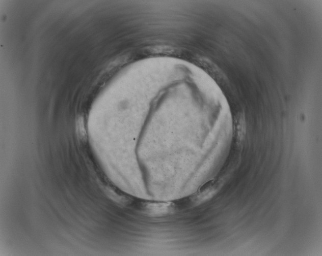 X0000084040089200703161842