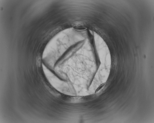 X0000084040090200703161842