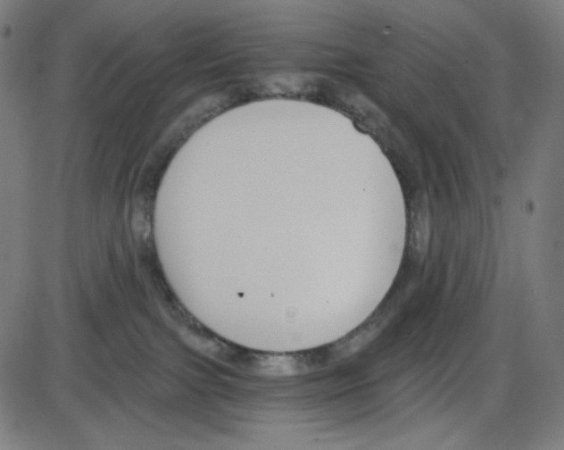 X0000084040091200703161842