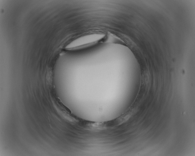 X0000084040092200703161842