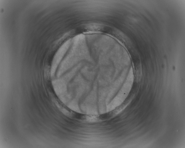 X0000084040093200703161842