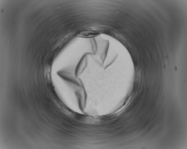 X0000084040094200703161842