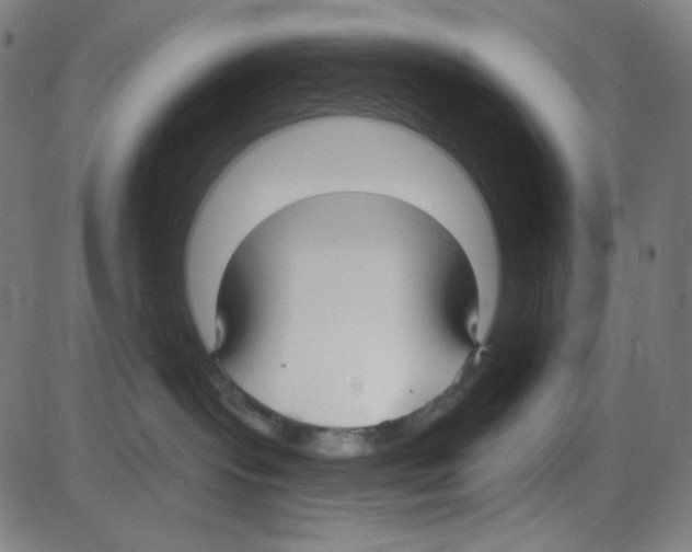 X0000084040095200703161842