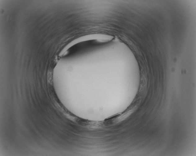 X0000084040096200703161842