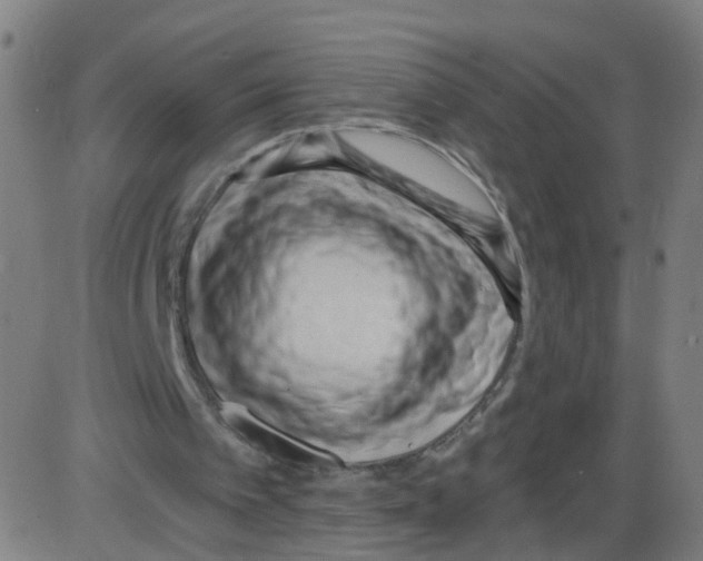 X0000084040097200703161841