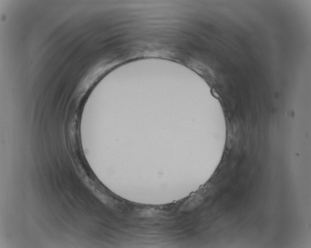 X0000084040098200703161841