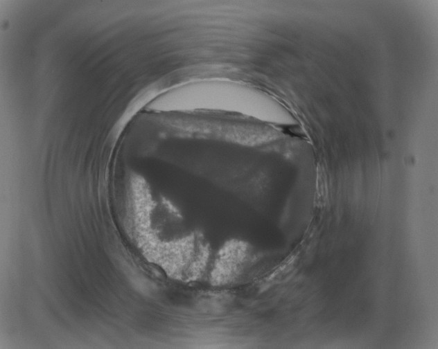 X0000084040099200703161841