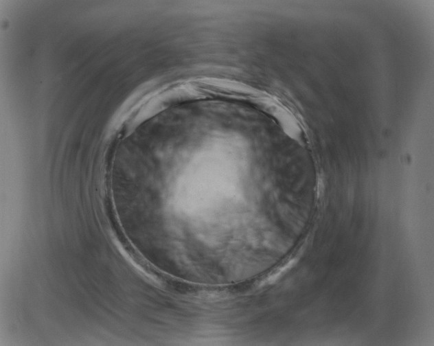 X0000084040101200703161841