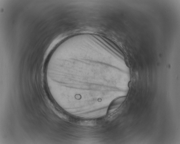 X0000084040102200703161841