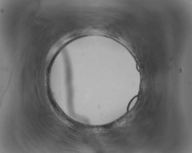 X0000084040103200703161841