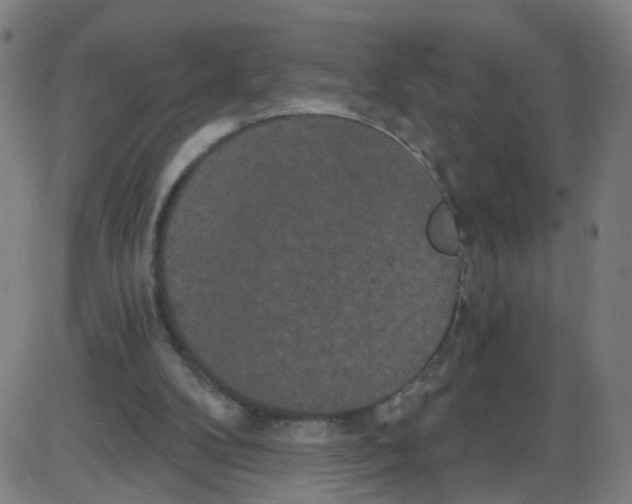 X0000084040104200703161841