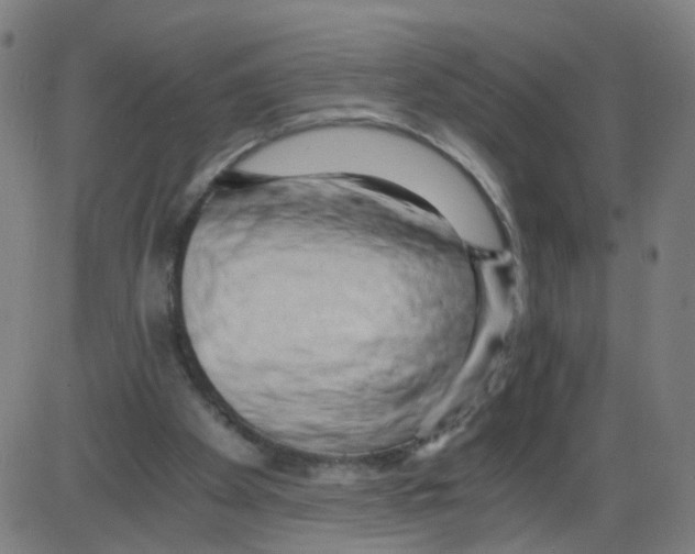 X0000084040105200703161841