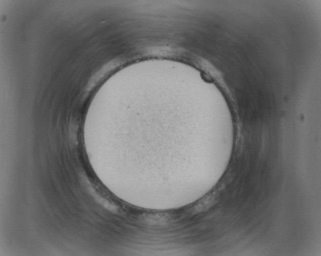 X0000084040106200703161841