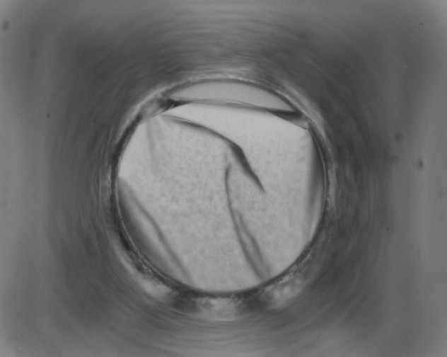 X0000084040107200703161841