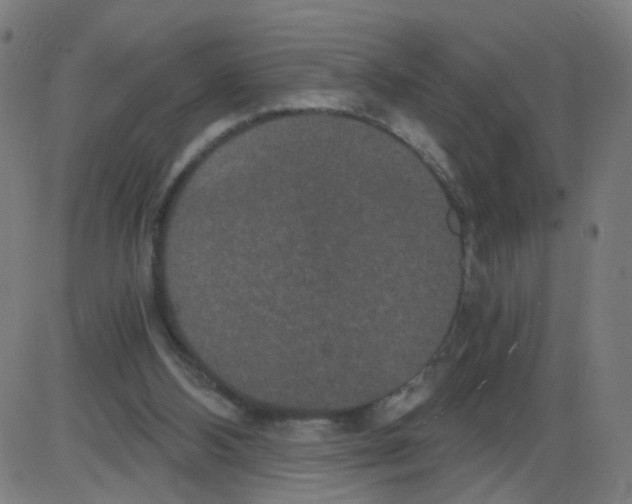 X0000084040108200703161841