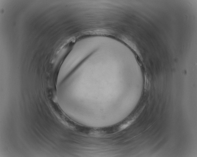 X0000084040109200703161841