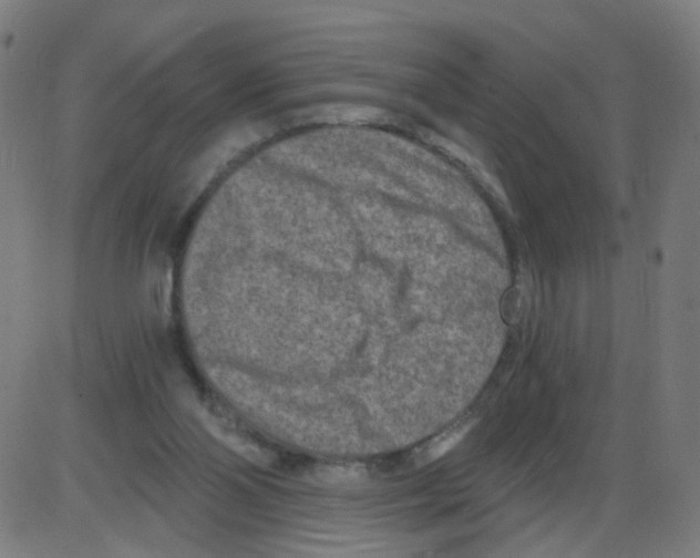 X0000084040110200703161841