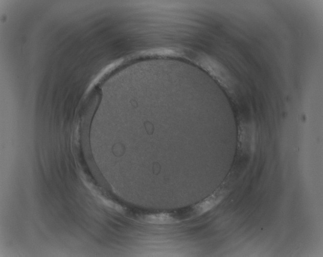 X0000084040112200703161841