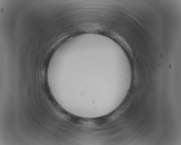 X0000084040113200703161841