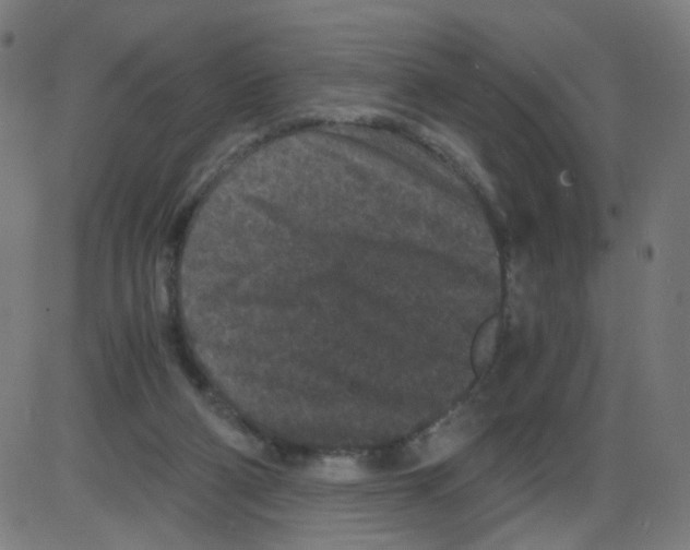 X0000084040114200703161841