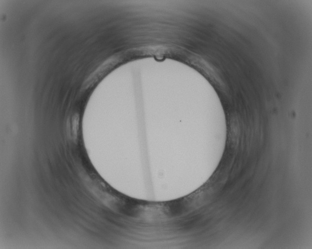 X0000084040118200703161841