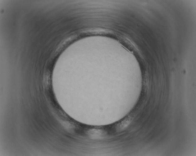 X0000084040119200703161841