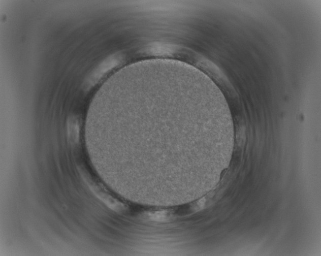 X0000084040120200703161841