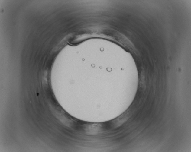 X0000084040122200703161841