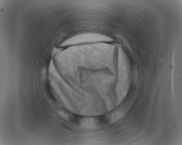 X0000084040123200703161841