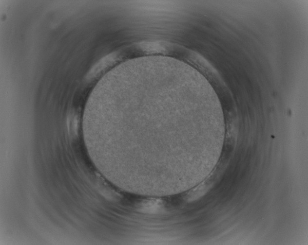 X0000084040124200703161841