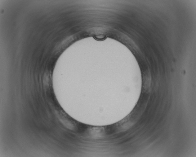 X0000084040126200703161841