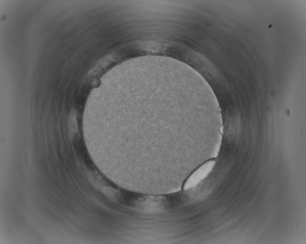 X0000084040128200703161841