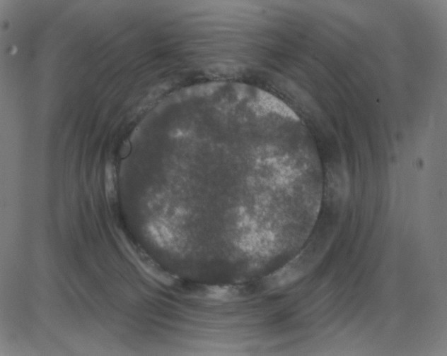 X0000084040130200703161841