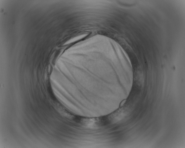 X0000084040131200703161841