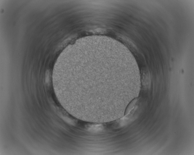 X0000084040132200703161841