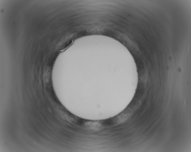 X0000084040133200703161841